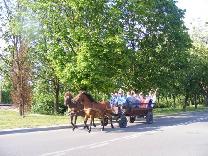 Majówka rodzinna 2016